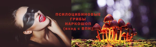 таблы Заводоуковск