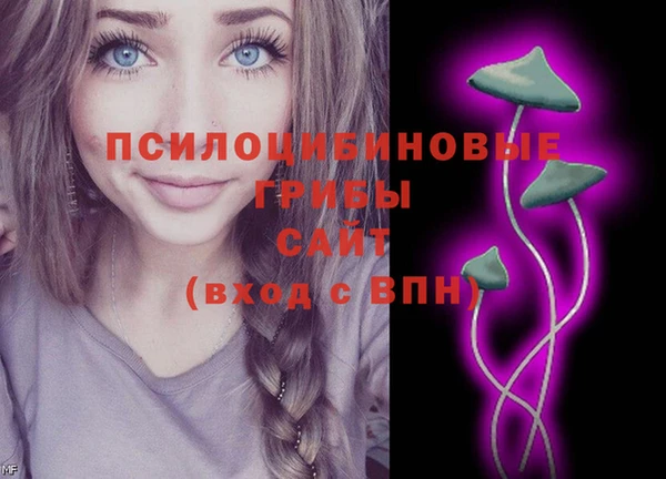 2c-b Заволжье